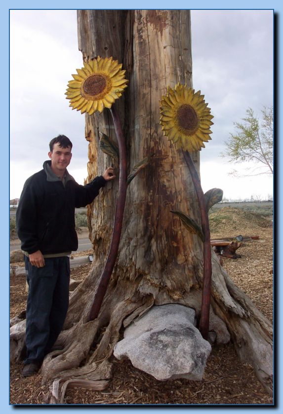 1-044 Sun Flowers